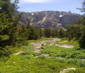 Montana2012 105